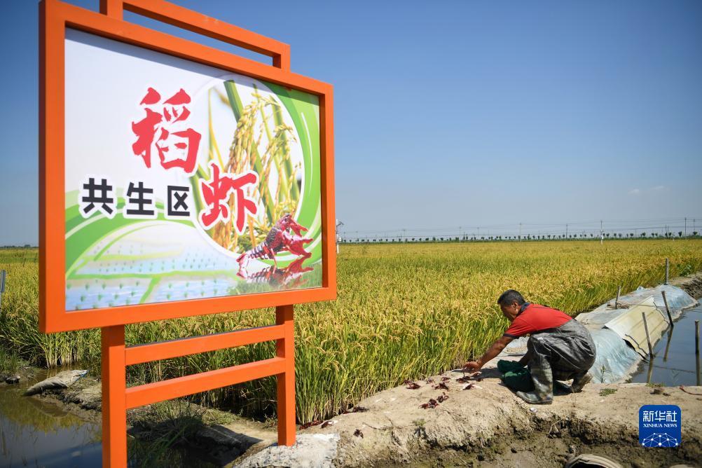 娱乐平台用户登录拉菲